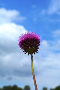 ????????????????????????????????????